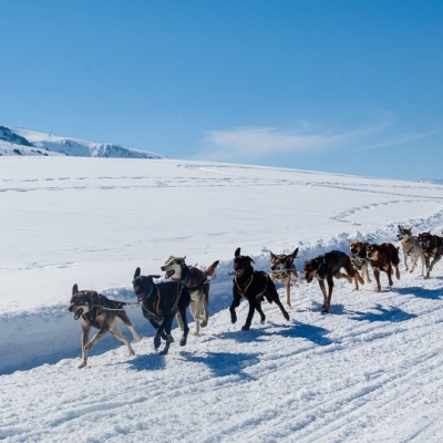 Múixing: una manera diferent de gaudir de la neu a Catalunya