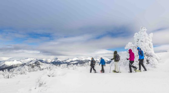 És l’hora de posar-se les raquetes de neu