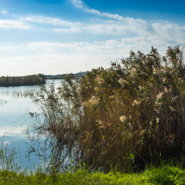 Espai Natural del Delta del Llobregat.