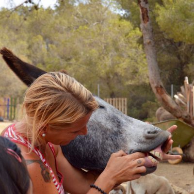 Refugi Món La Bassa del Vendrell.