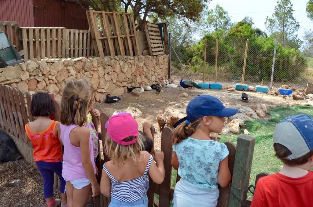 Al refugi Món la Bassa els nens poden alimentar i interactuar amb els animals.