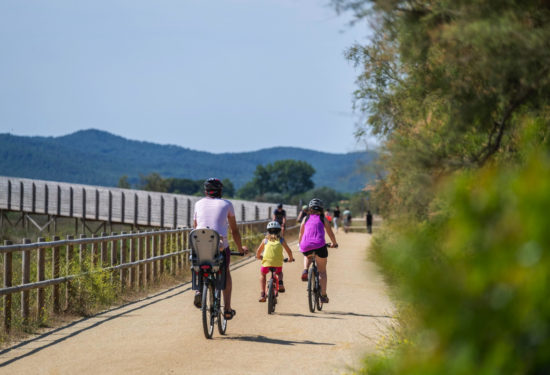 bici Pletera