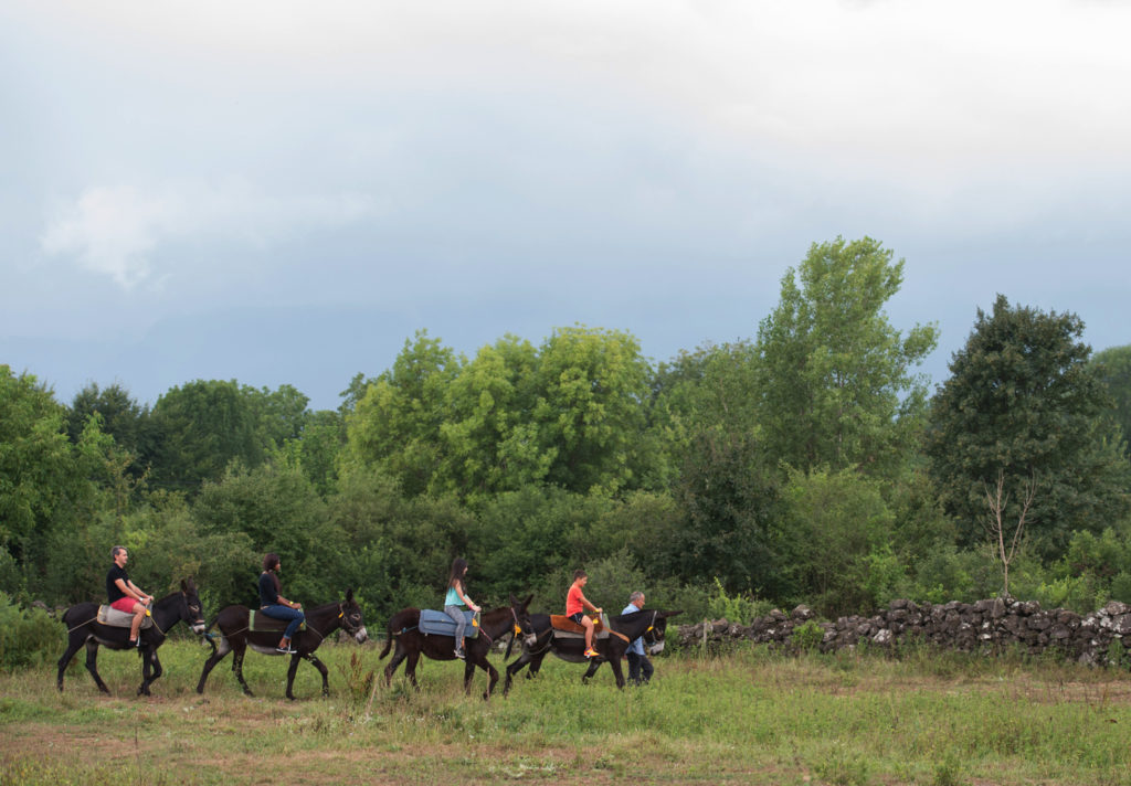 Excursió en ruc amb Rucs i Someres.