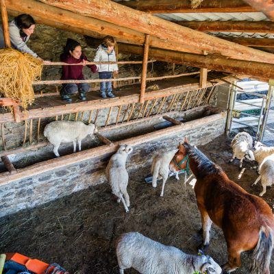 Experiència rural de 360º en família a Pirineus-Noguera Pallaresa i les Valls d’Àneu